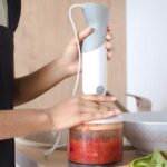 Best Hand Blender – Ninja Professional Ninja 1000 Review