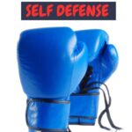 Best Martial Art – CHOOSING THE BEST MARTIAL ART FOR SELF DEFENSE Review