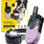 Best Dog Training E Collar – Dogtra 200iQ Remote Review