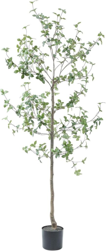 Best Home Decor – Bellacat 6ft Faux Quince Leaf Tree Review