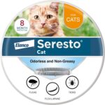 Best Cat Flea Collar – Seresto Cat Vet-Recommended Treatment Review