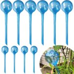 Best Plant Care – MOONSOUND Self Watering Globes Review