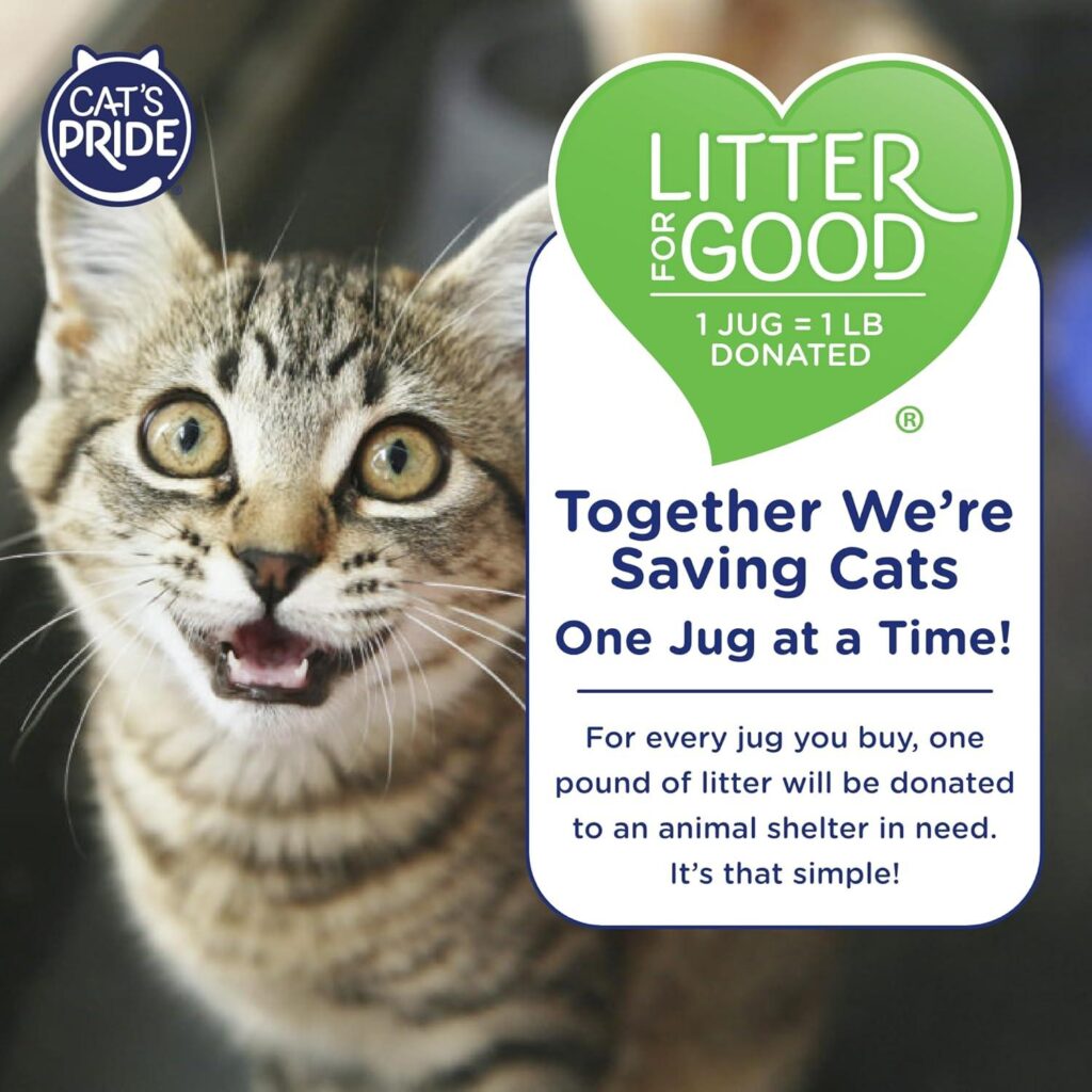 Best Cat Litter – Cat’s Pride Max Power: UltraClean Review