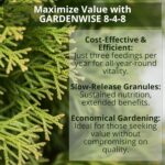 Best Acidic Fertilizer – 8-4-8 for Azaleas & Hydrangeas Review