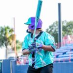 Best Baseball Bat – Rawlings | 2026 | ICON USSSA Composite Review