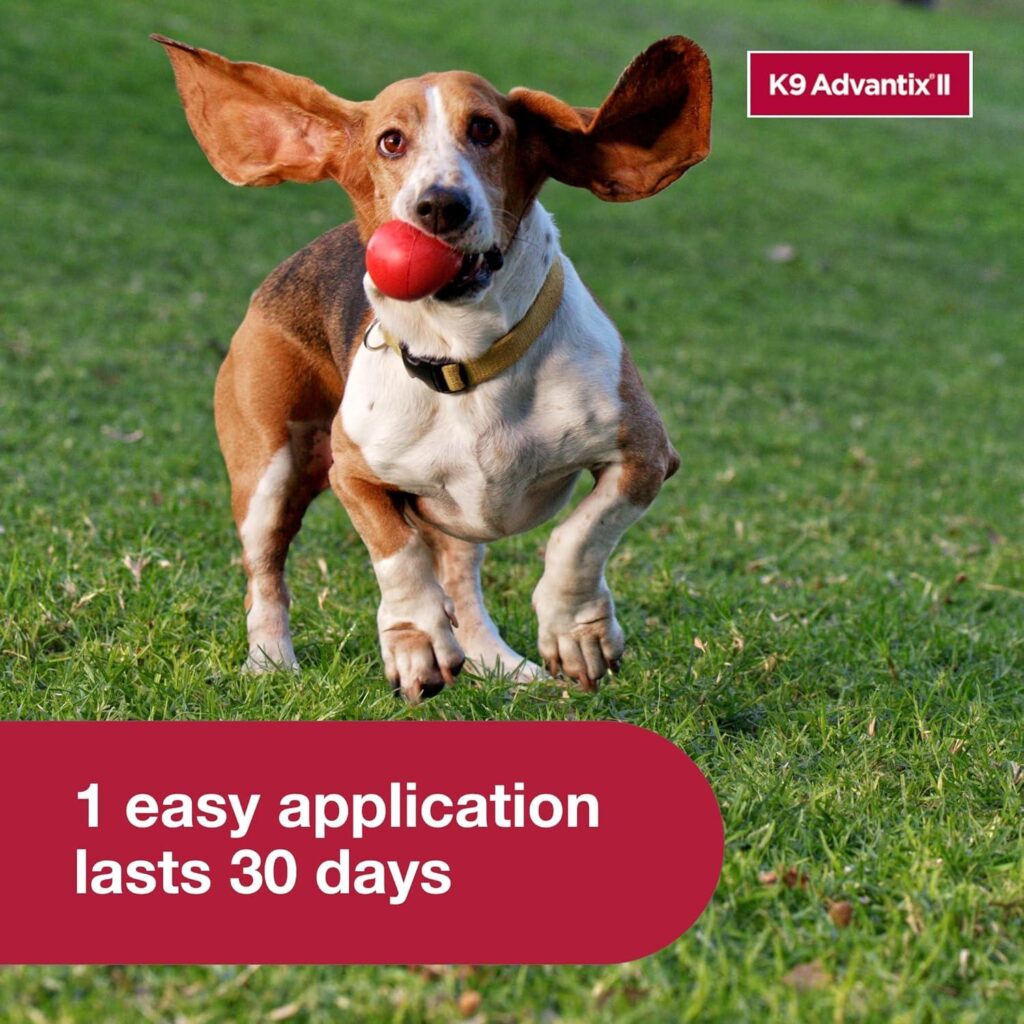 Best Flea & Tick Treatment – K9 Advantix II Medium Dog Review