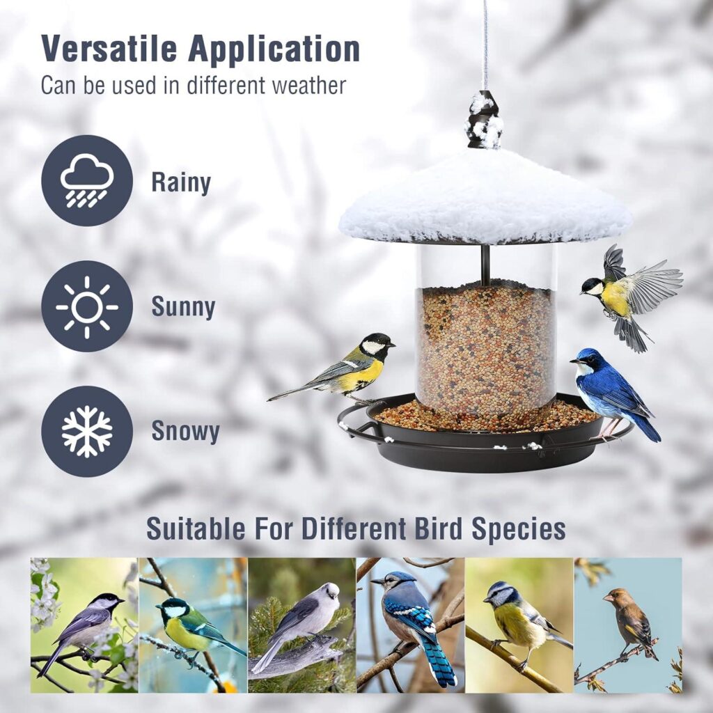 Best Bird Feeder – Metal Roof Bird Feeder – Chew Proof Review