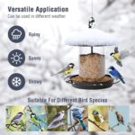 Best Bird Feeder – Metal Roof Bird Feeder – Chew Proof Review