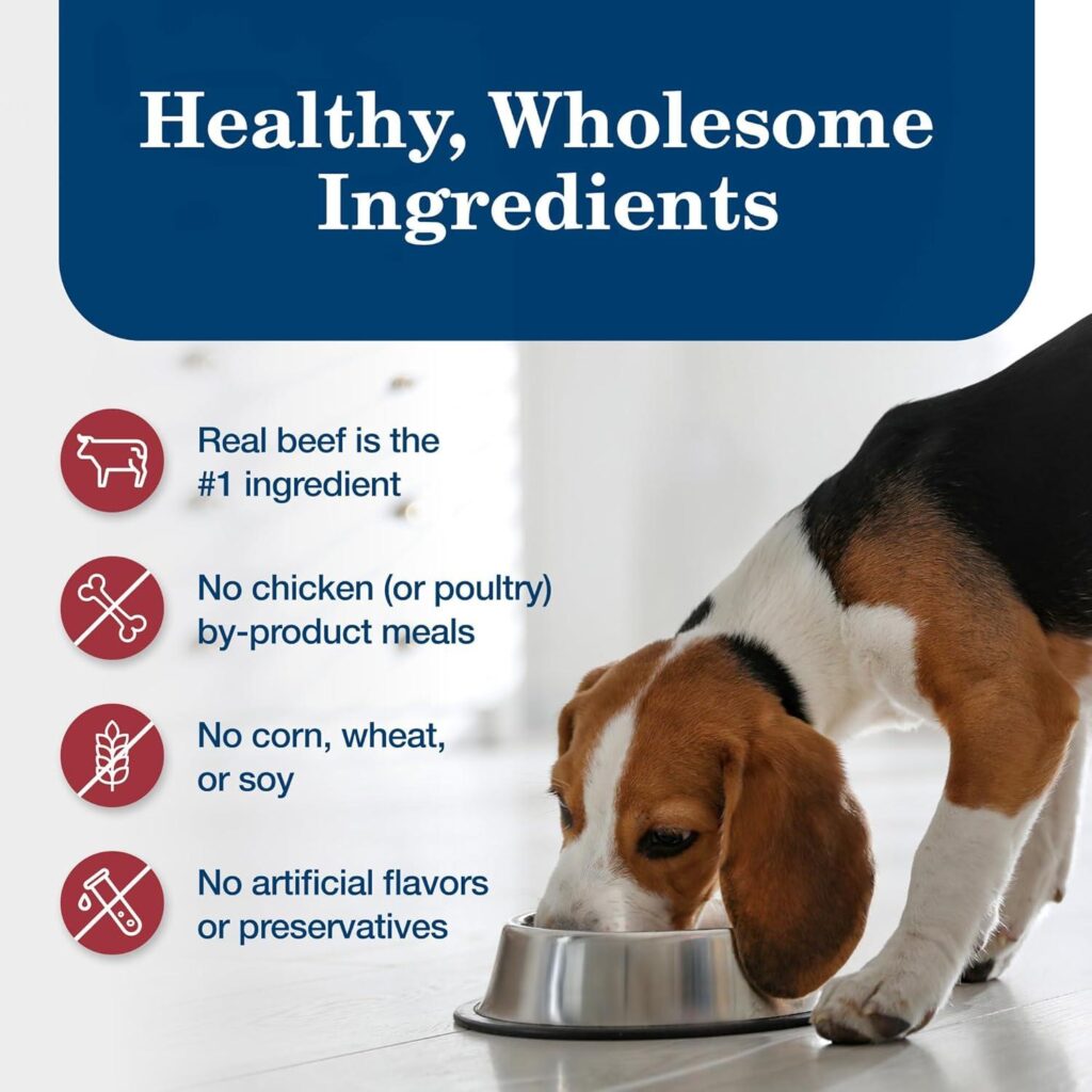 Best Wet Dog Food – Blue Buffalo Homestyle Recipe Review
