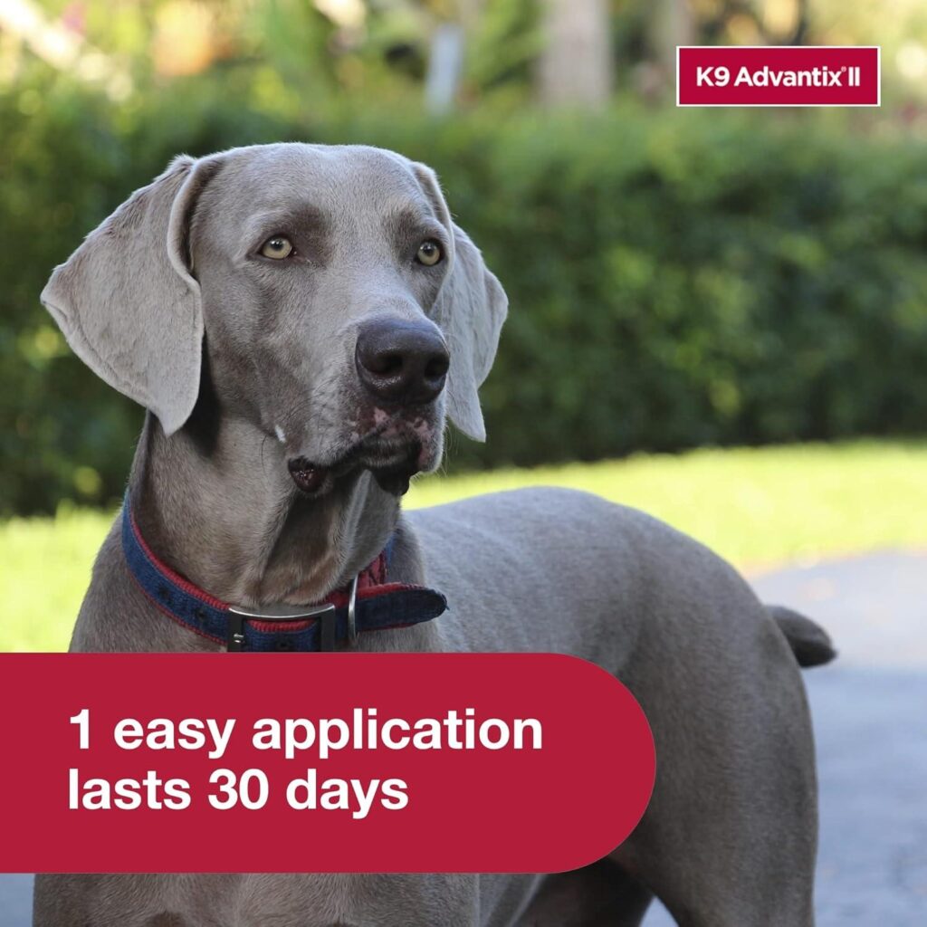 Best Flea & Tick Treatment – K9 Advantix II XL Dog Review
