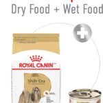 Best Dog Food – Royal Canin Breed Health Nutrition Shih Tzu Review
