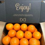 Best Family Fruit Snack – Munchie Mix Florida Navel Oranges Review
