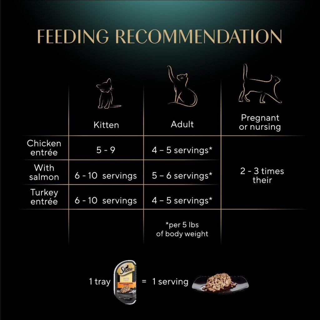 Best Cat Food – Sheba Perfect Portions Cuts in Gravy Review
