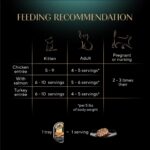 Best Cat Food – Sheba Perfect Portions Cuts in Gravy Review