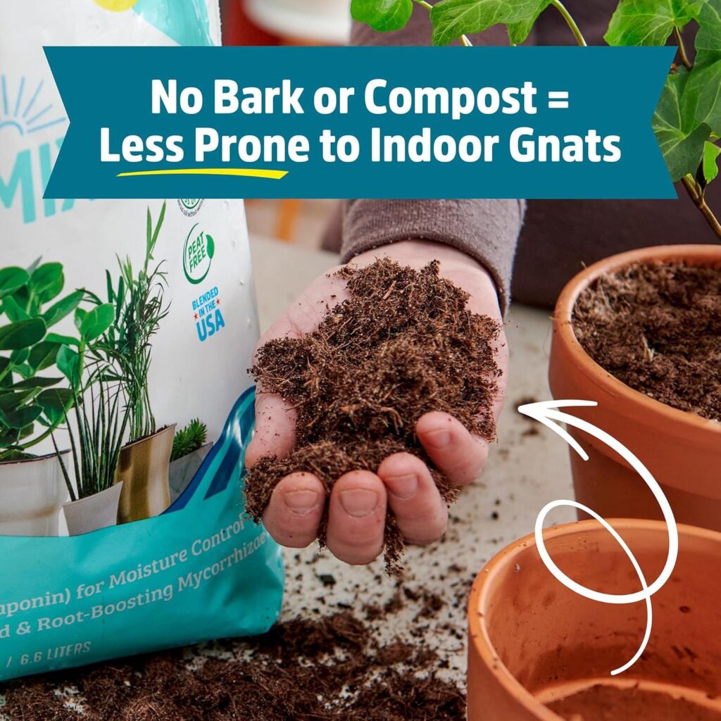 Best Organic Potting Mix – Back to The Roots 100% Indoor Review