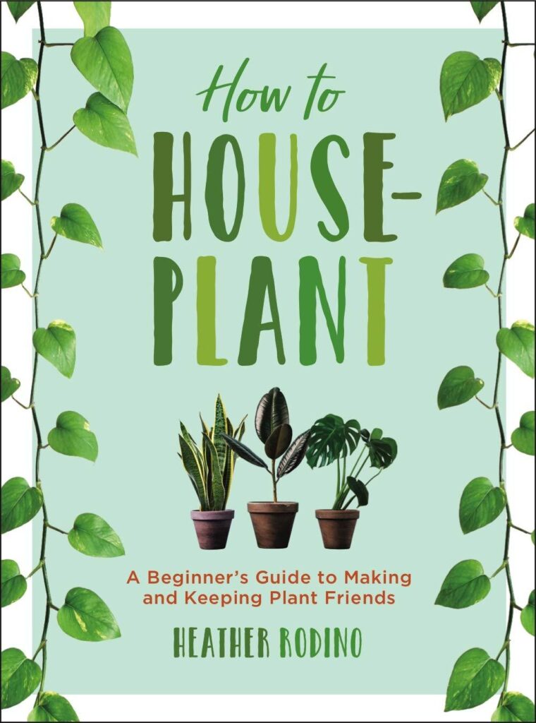 Best Houseplant Guide – How to Houseplant: A Beginner’s Review