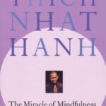 Best Meditation Guide – The Miracle of Mindfulness Review