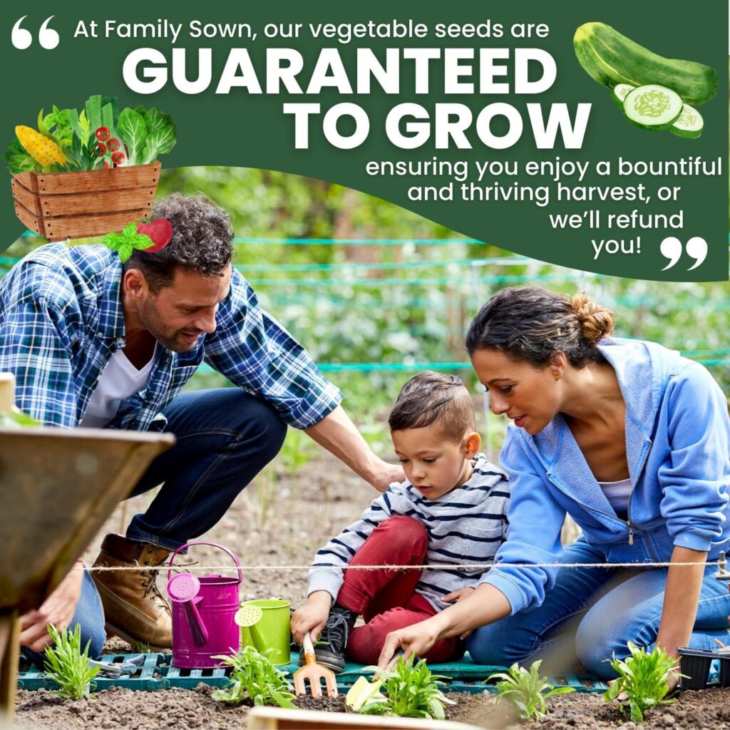 Best Cucumber Seeds – Marketmore – 200 Premium Seeds Review