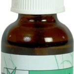 Best Catnip Spray – from The Field | Rejuvenator Review